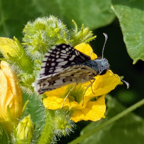 ♥️ - Picture 9 of 11